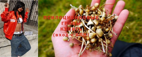 PSILOCYBIN Алексин