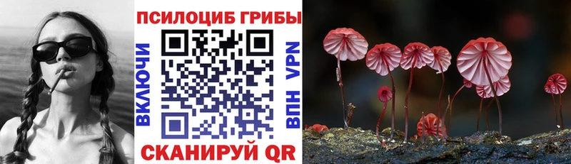 Псилоцибиновые грибы мухоморы  сколько стоит  Рошаль 